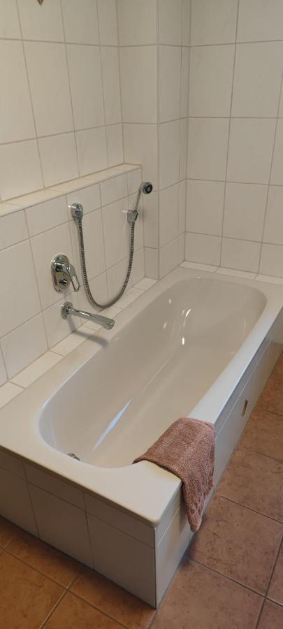 Ferienwohnung Zwischen Rhein Und Schwarzwald Bischweier المظهر الخارجي الصورة