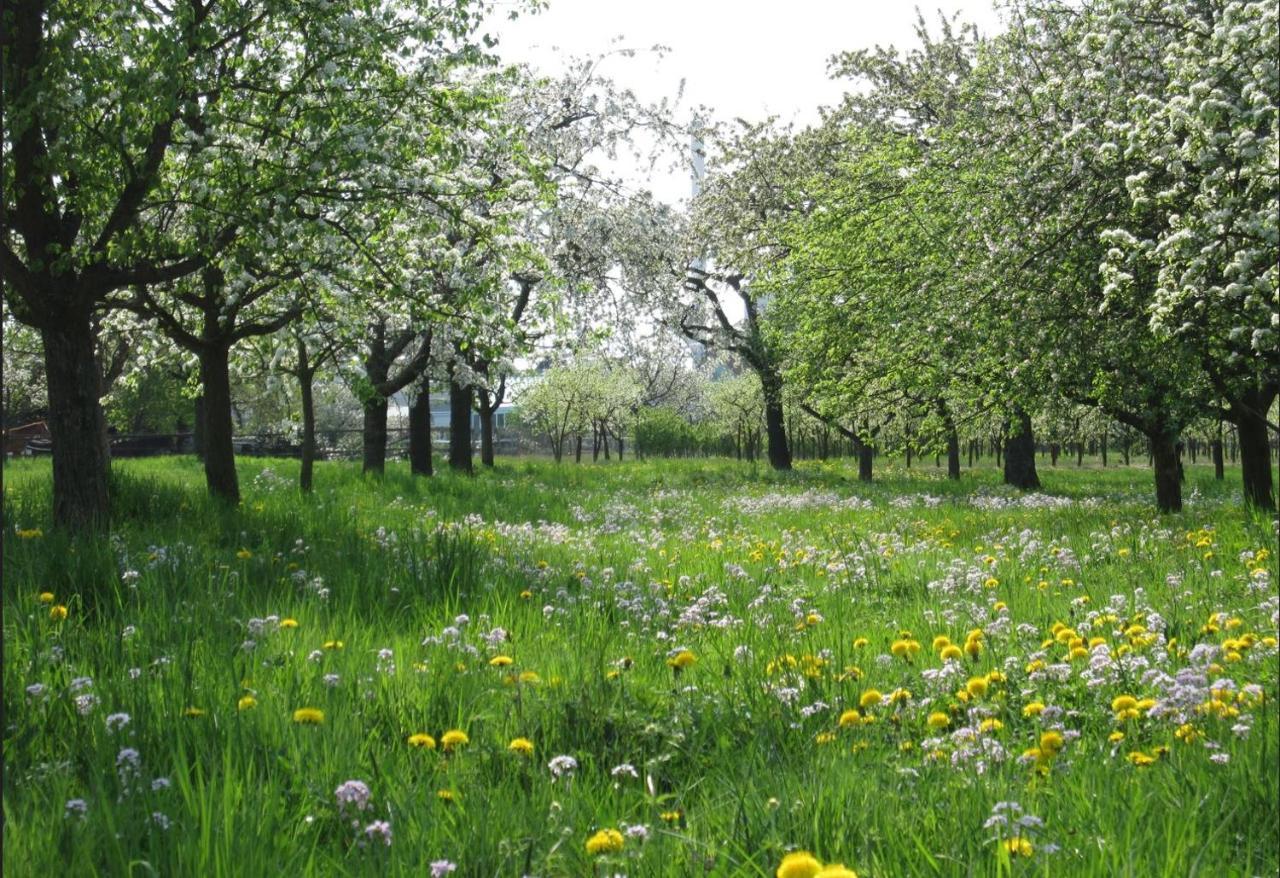 Ferienwohnung Zwischen Rhein Und Schwarzwald Bischweier المظهر الخارجي الصورة