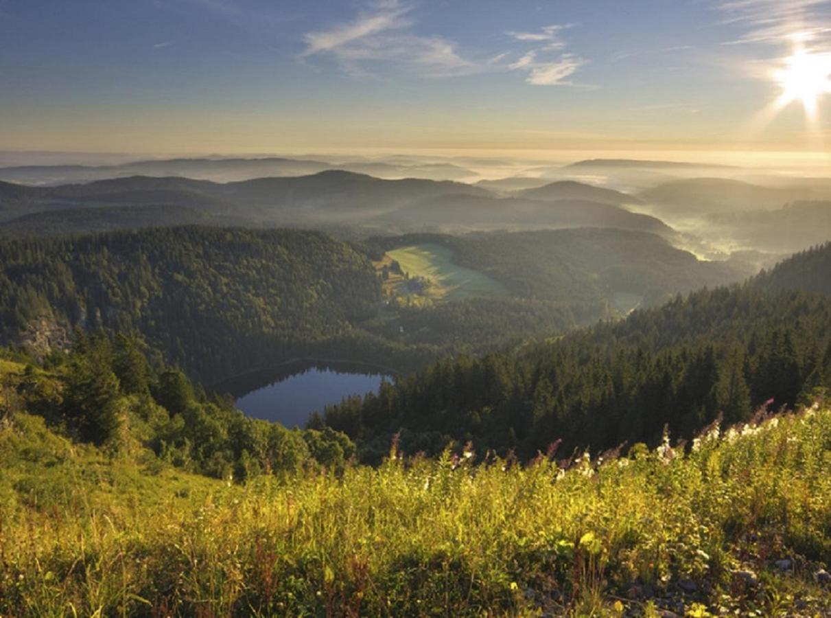 Ferienwohnung Zwischen Rhein Und Schwarzwald Bischweier المظهر الخارجي الصورة